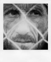 http://www.bertrandcarriere.com/files/gimgs/th-38_01polaroids of war.jpg